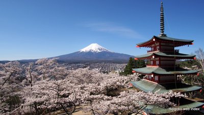 新倉山浅間公園から桜と富士と五重の塔