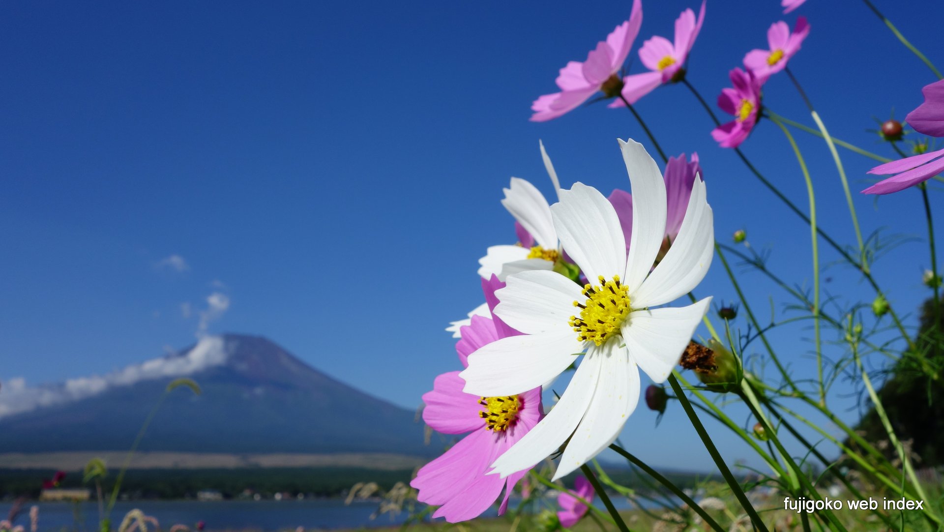 富士五湖webインデックス 壁紙 ちゃりblog 秋の山中湖