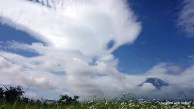 DSC07803.JPG