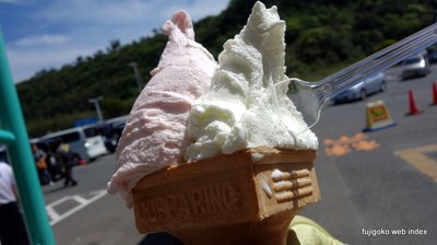 浜松往復(一泊
