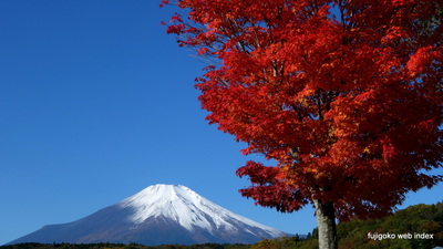 遅めの冠雪と紅葉と