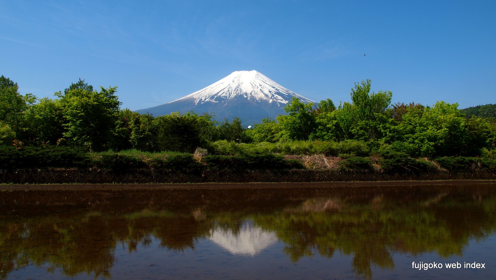 富士五湖webインデックス 壁紙 ちゃりblog 初夏っぽくなってきました