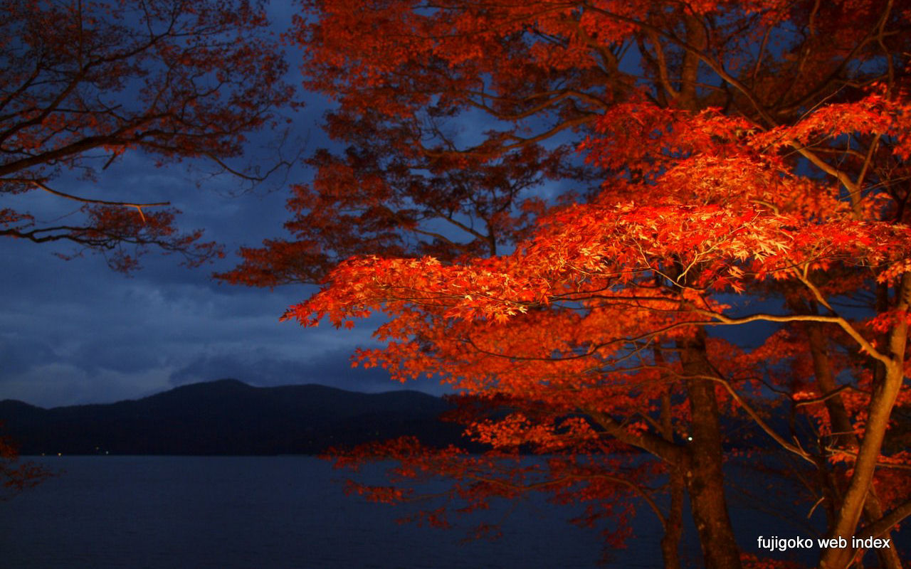 富士五湖webインデックス 壁紙 ちゃりblog 紅葉祭りのライトアップ 山中湖